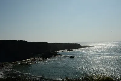 DSC_2716 (Large).JPG